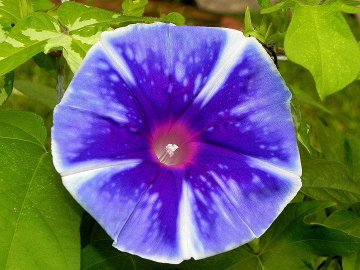 DSCN6643