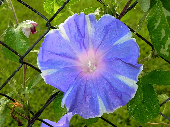 DSCN6720_01