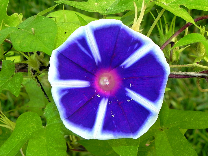 DSCN6782_01