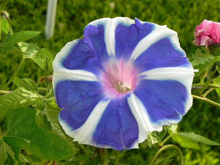 DSCN6788