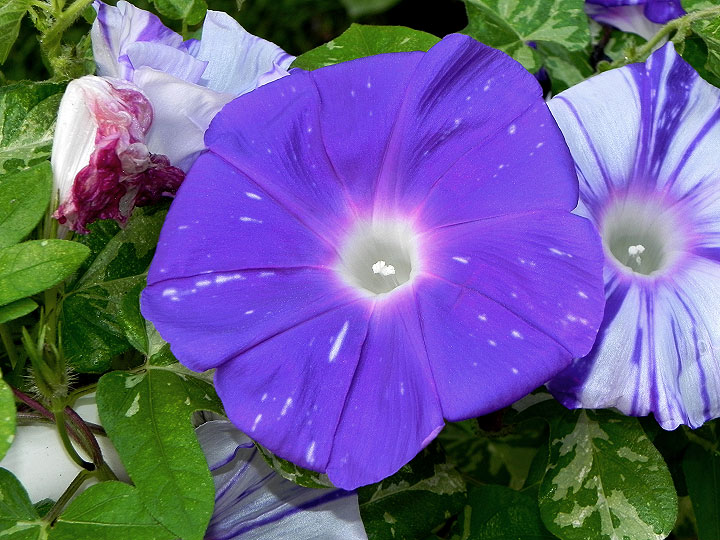 DSCN6793