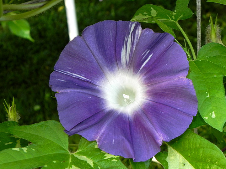 DSCN6841