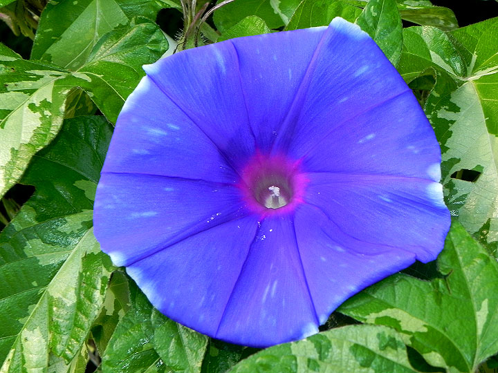 DSCN6846