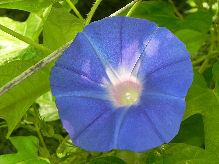 DSCN6852_01