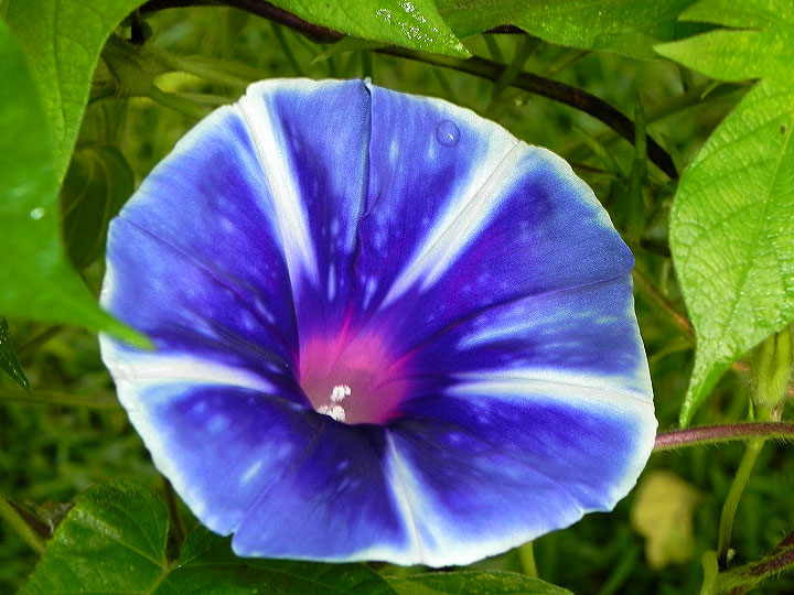 DSCN6860
