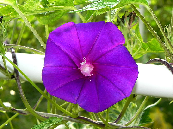 DSCN6881