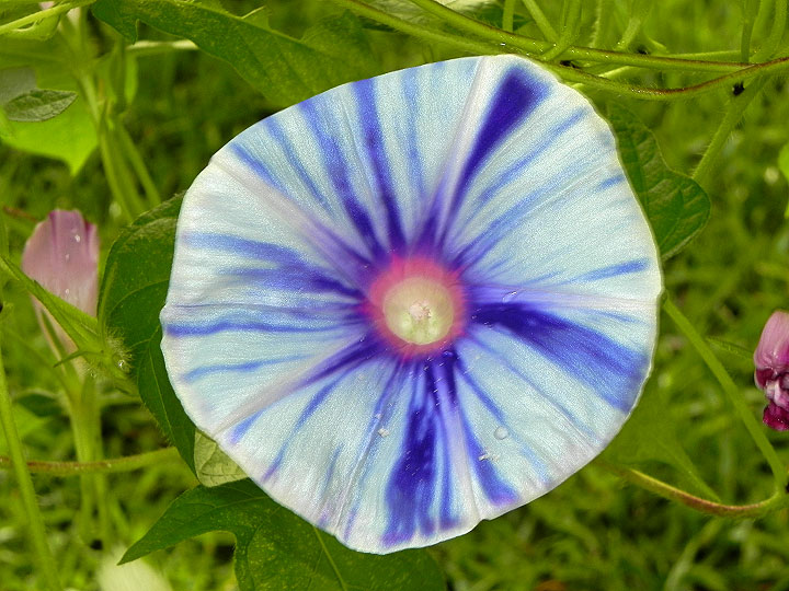 DSCN6901