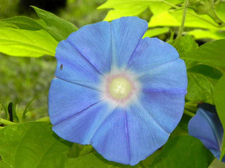 DSCN7094