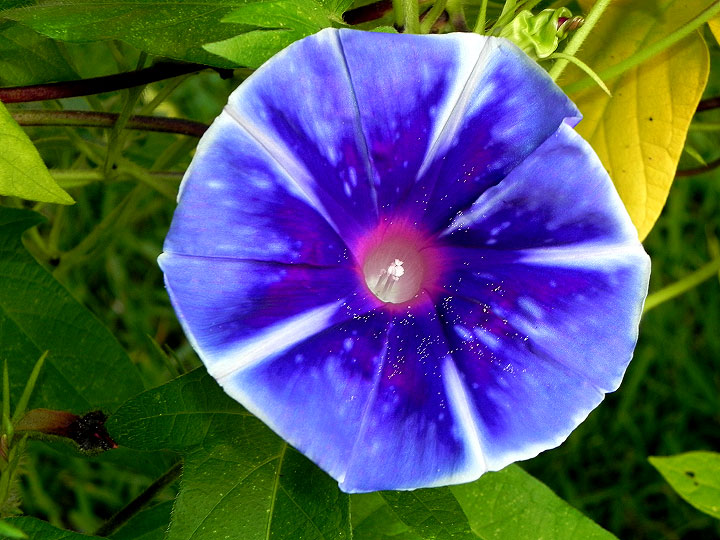 DSCN7101