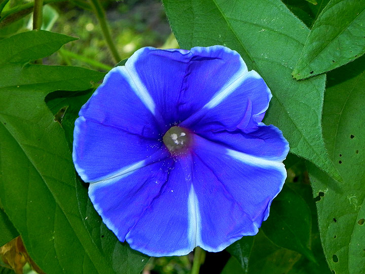 DSCN7118