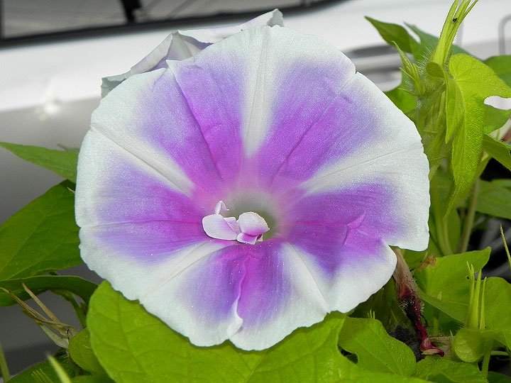 DSCN7189