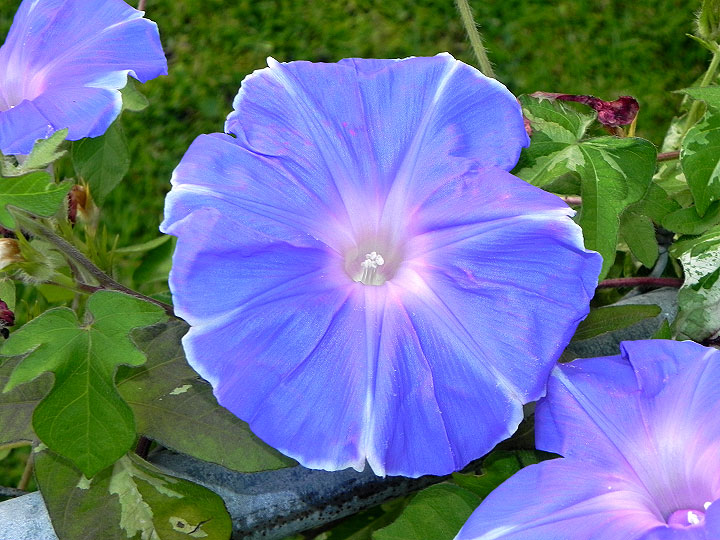 DSCN7207