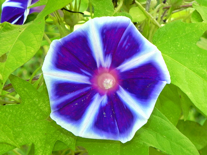 DSCN7262