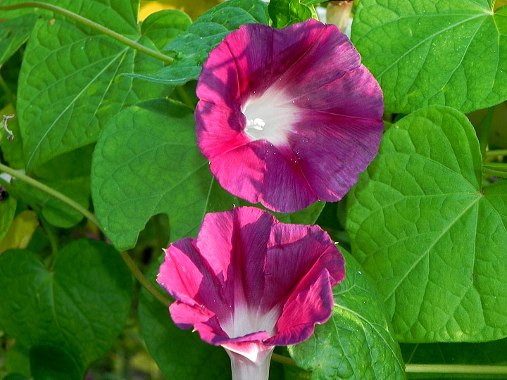 DSCN7304