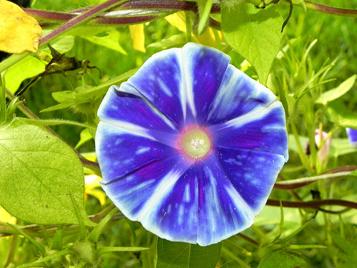 DSCN7354