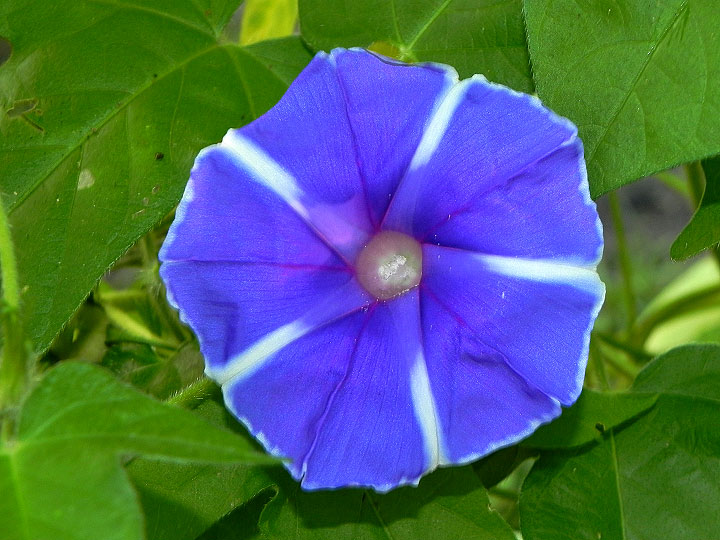 DSCN7368