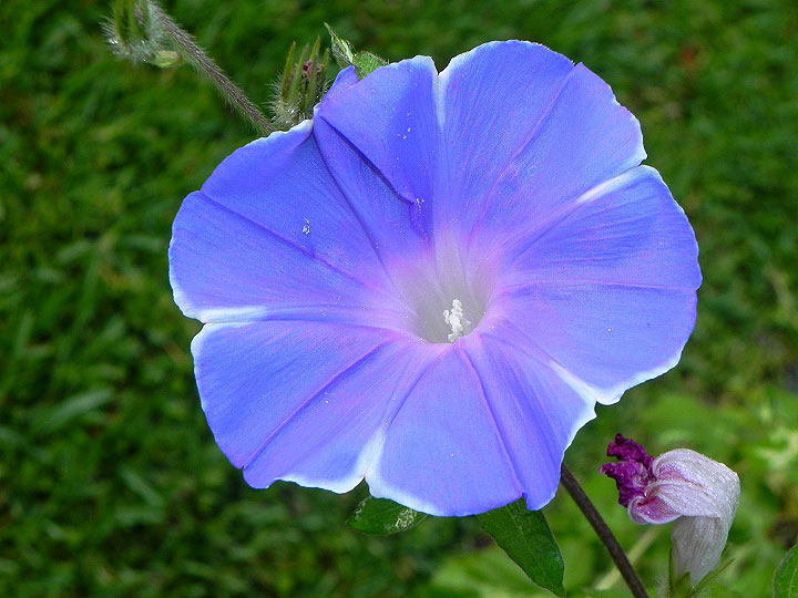 DSCN7427