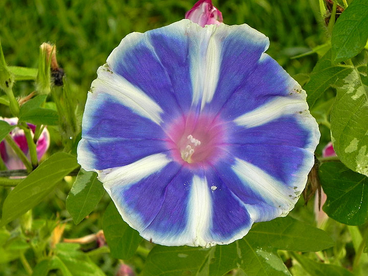 DSCN7467