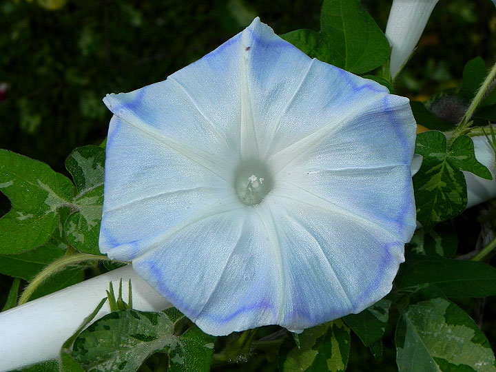 DSCN7477