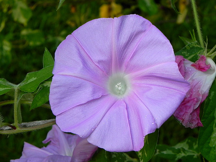 DSCN7483