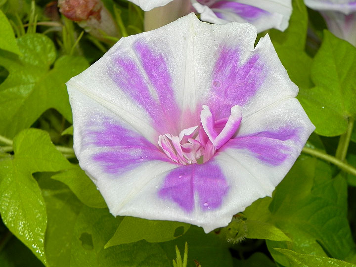 DSCN7578