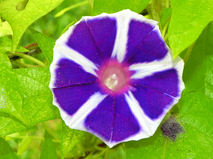 DSCN7644
