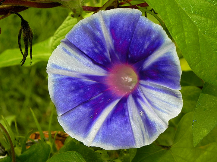 DSCN7735