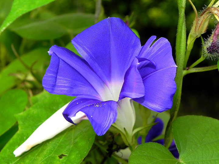 DSCN7740_01