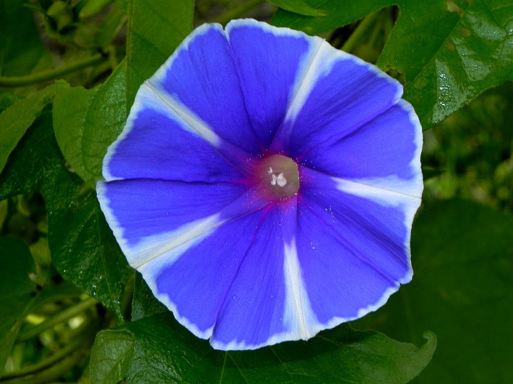 DSCN7752