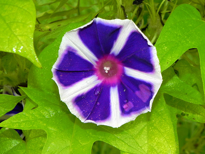 DSCN7846