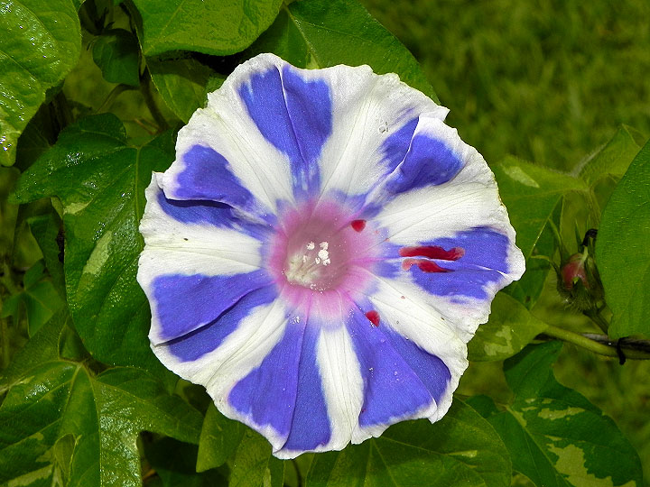 DSCN7857