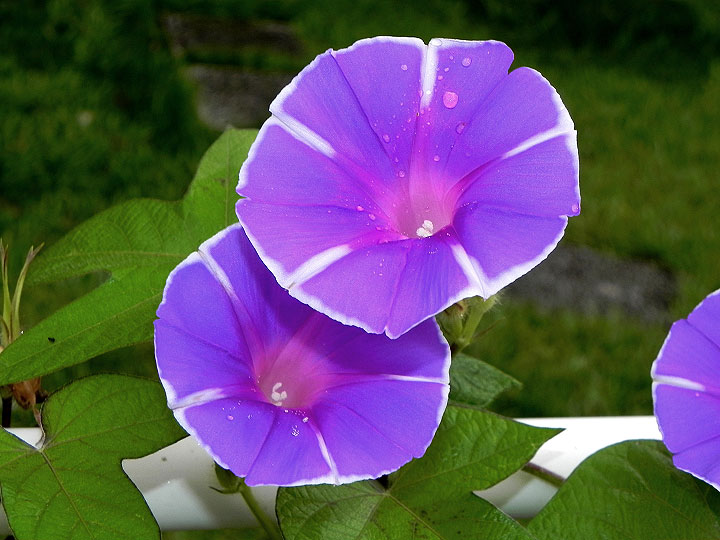 DSCN7858