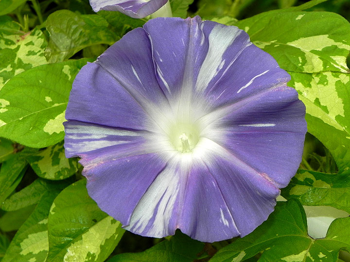 DSCN7919
