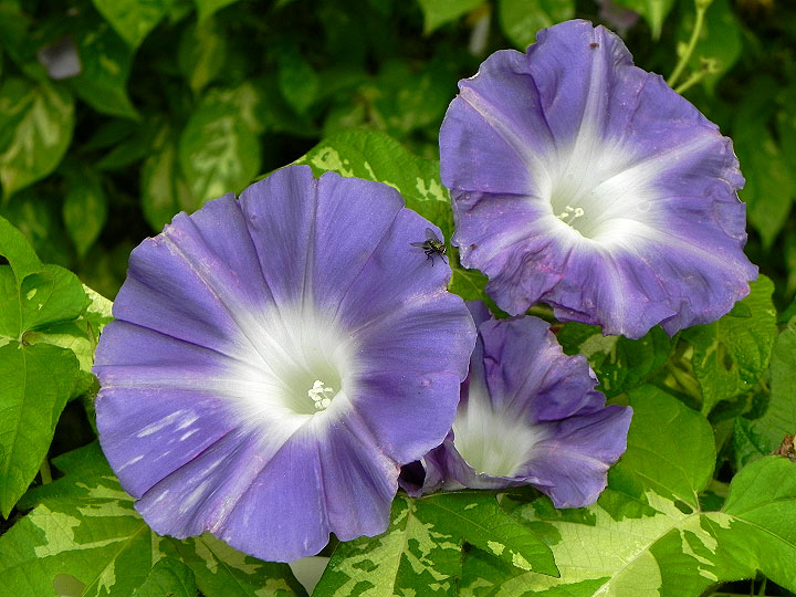 DSCN7920