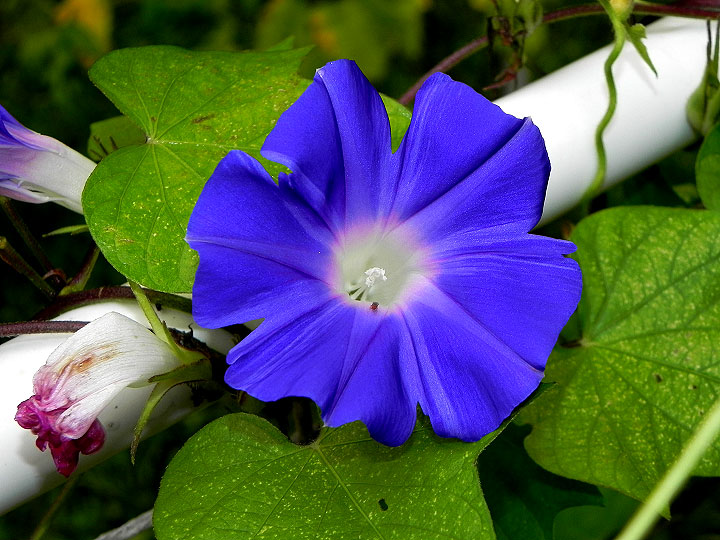 DSCN7941