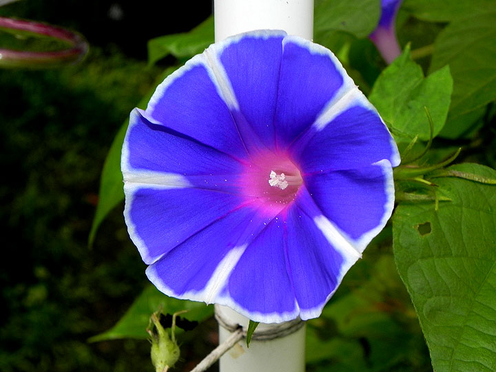 DSCN7952