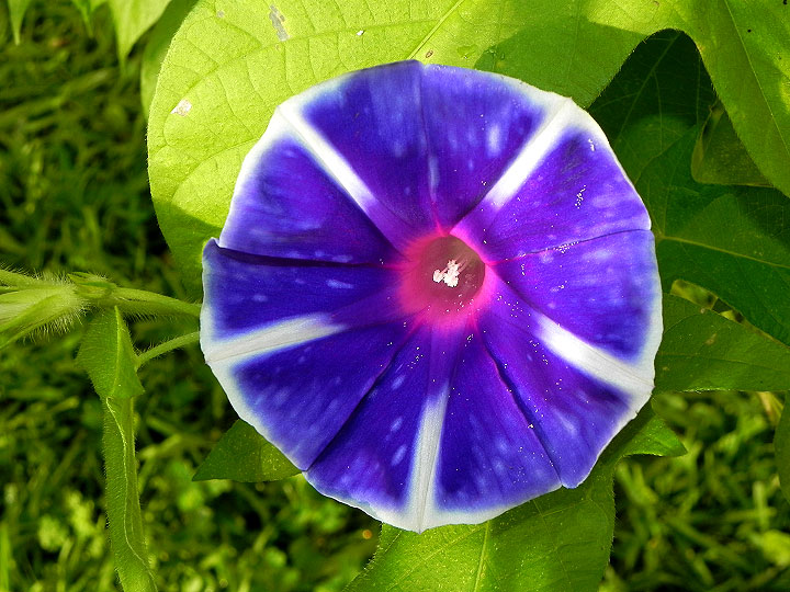 DSCN8171