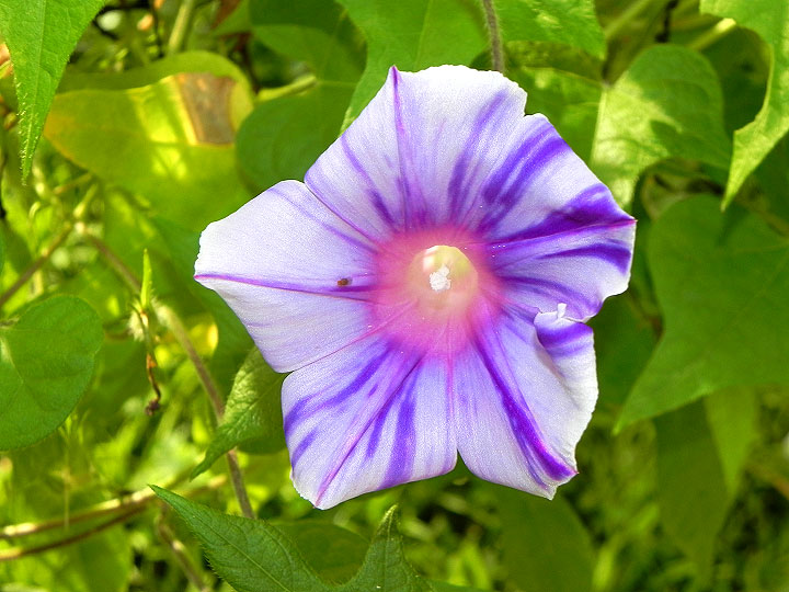 DSCN8181