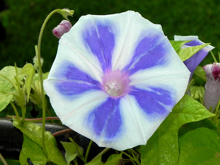 DSCN8321