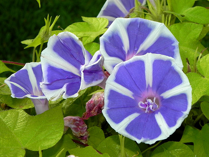 DSCN8322
