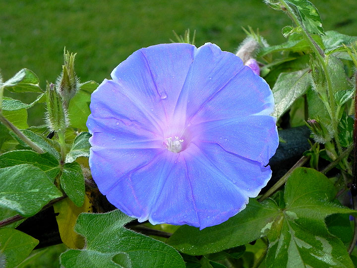 DSCN8340