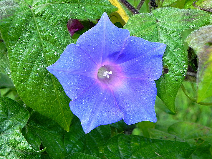 DSCN8377
