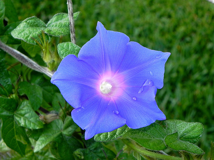 DSCN8380