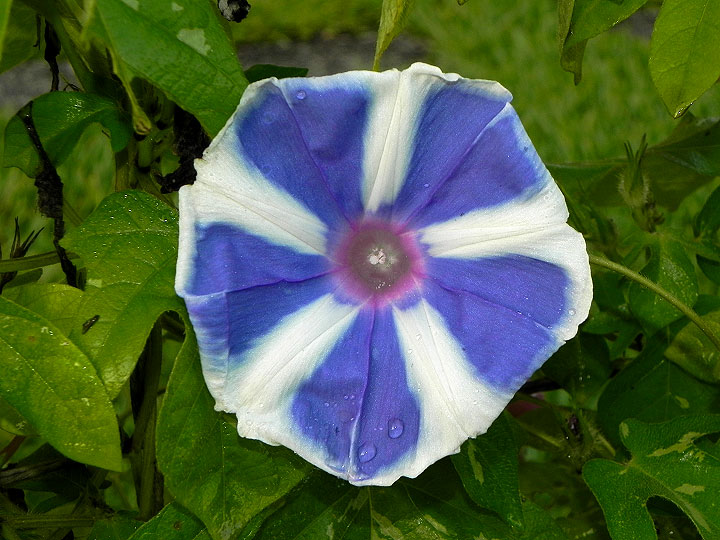 DSCN8408