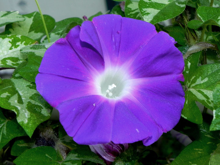 DSCN8416