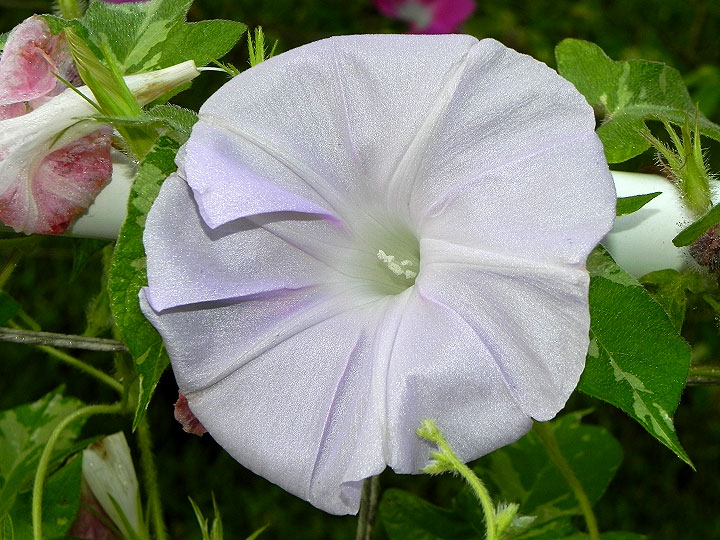 DSCN8432