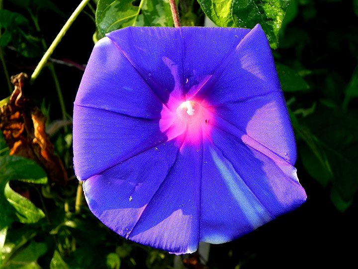 DSCN8464