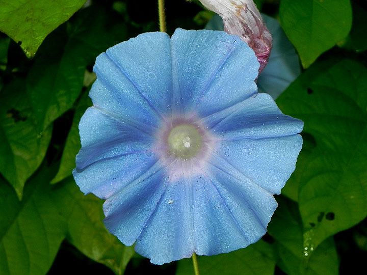DSCN8466
