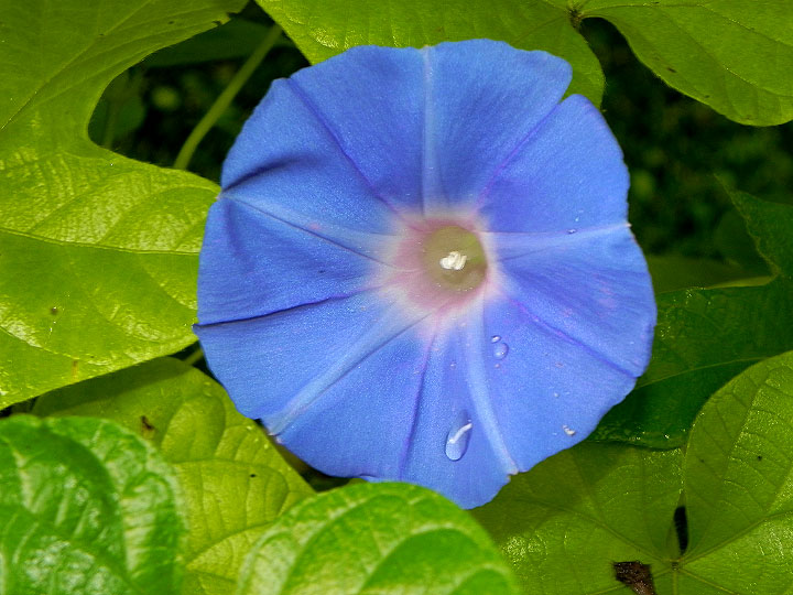 DSCN8469