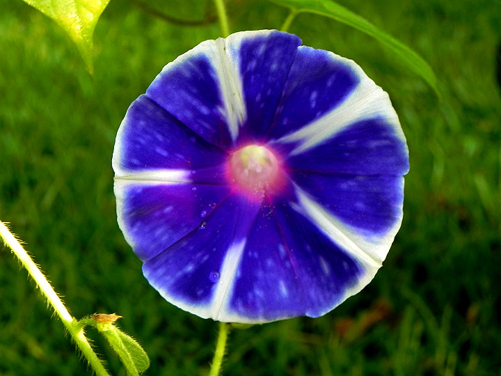 DSCN8477
